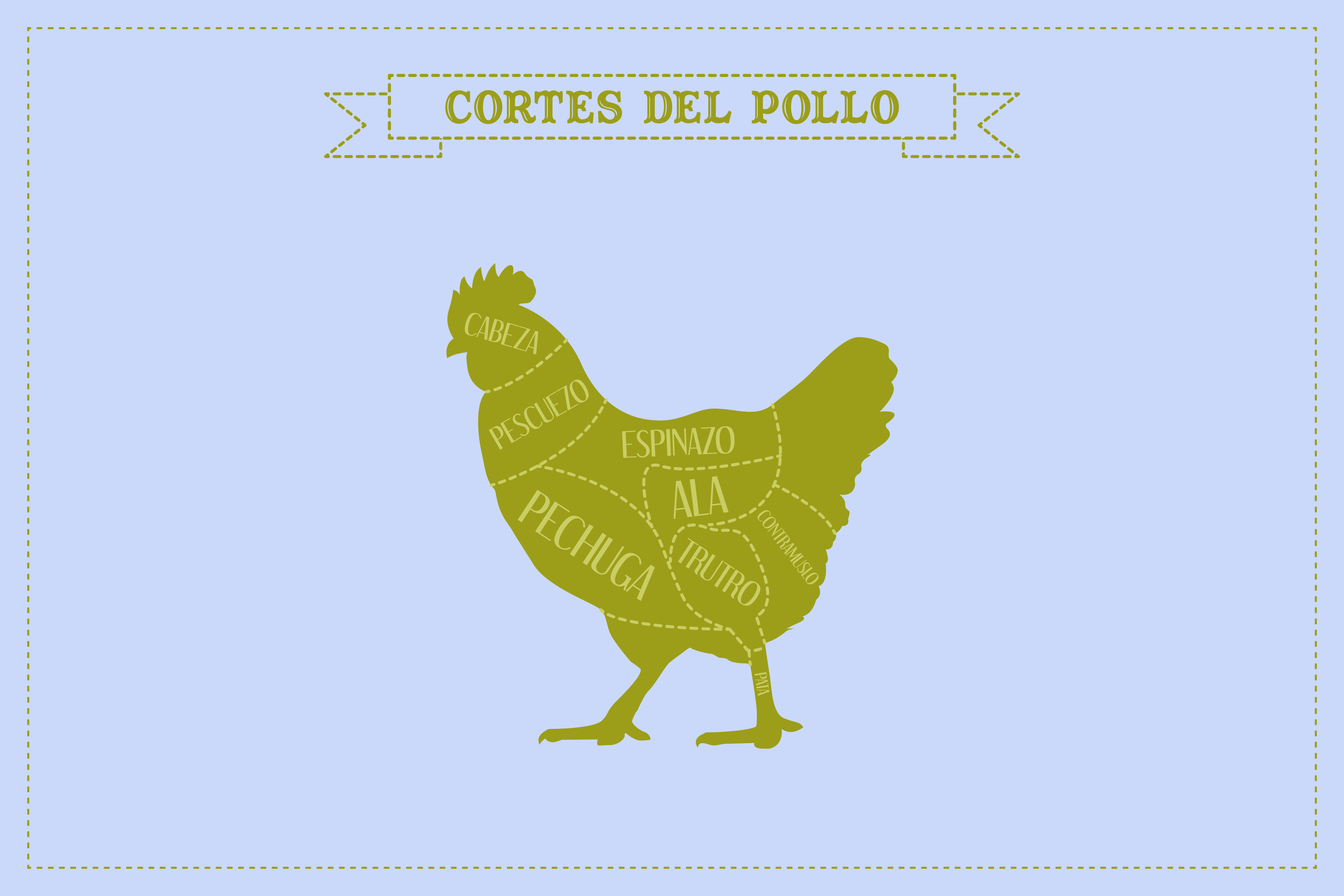 Guía de corte de carne de pollo, vector.